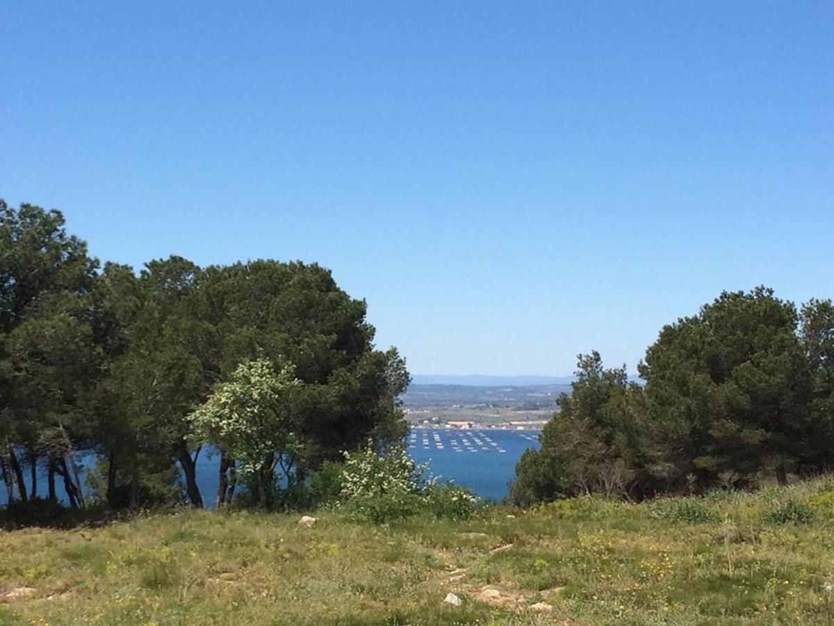 3P Climatise Avec Parking, Piscine, Proche Plage Et Commerces A Sete - Fr-1-338-497 Esterno foto